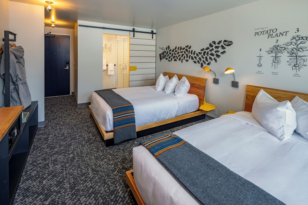 Courtyard, 2 Queen Beds