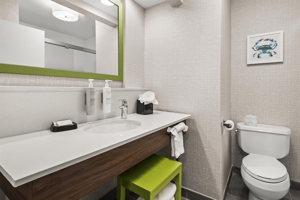 جناح بسرير كينج، Hampton Inn Elkton Md 4/5