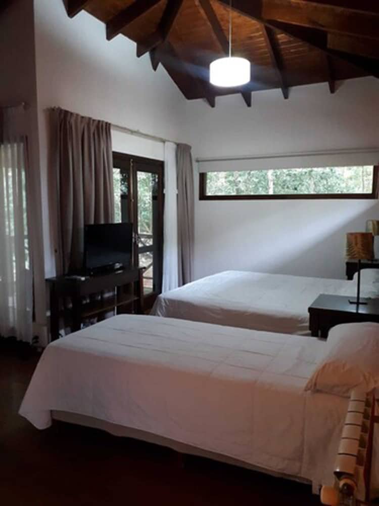 Selva de Laurel 17/71