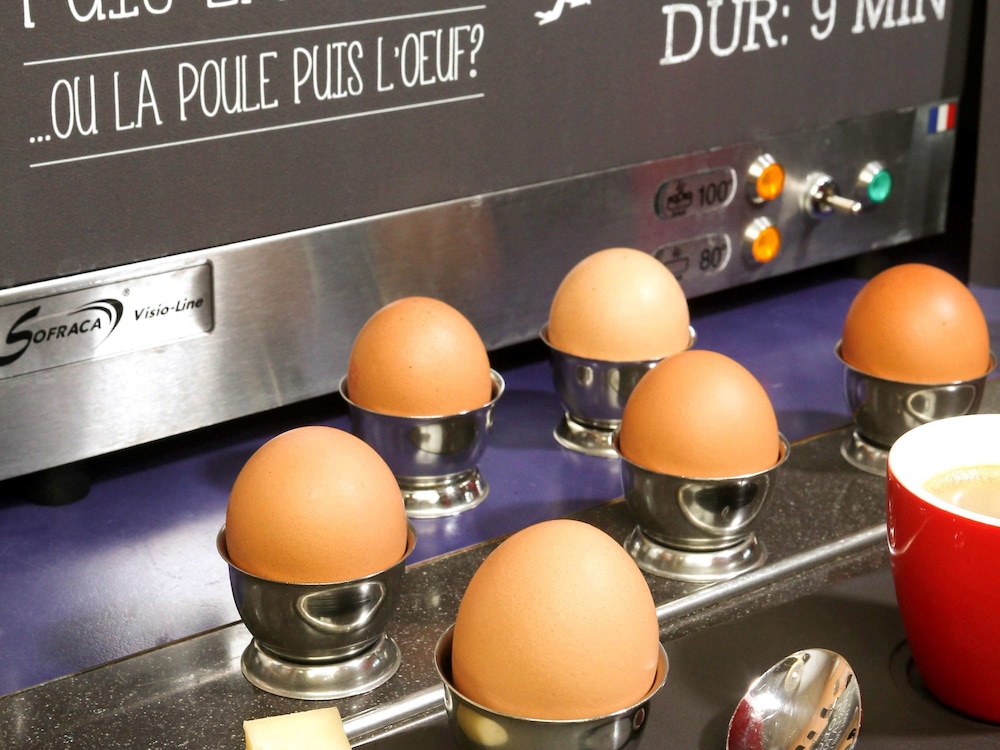 Hotel ibis Auxerre Sud 39/68