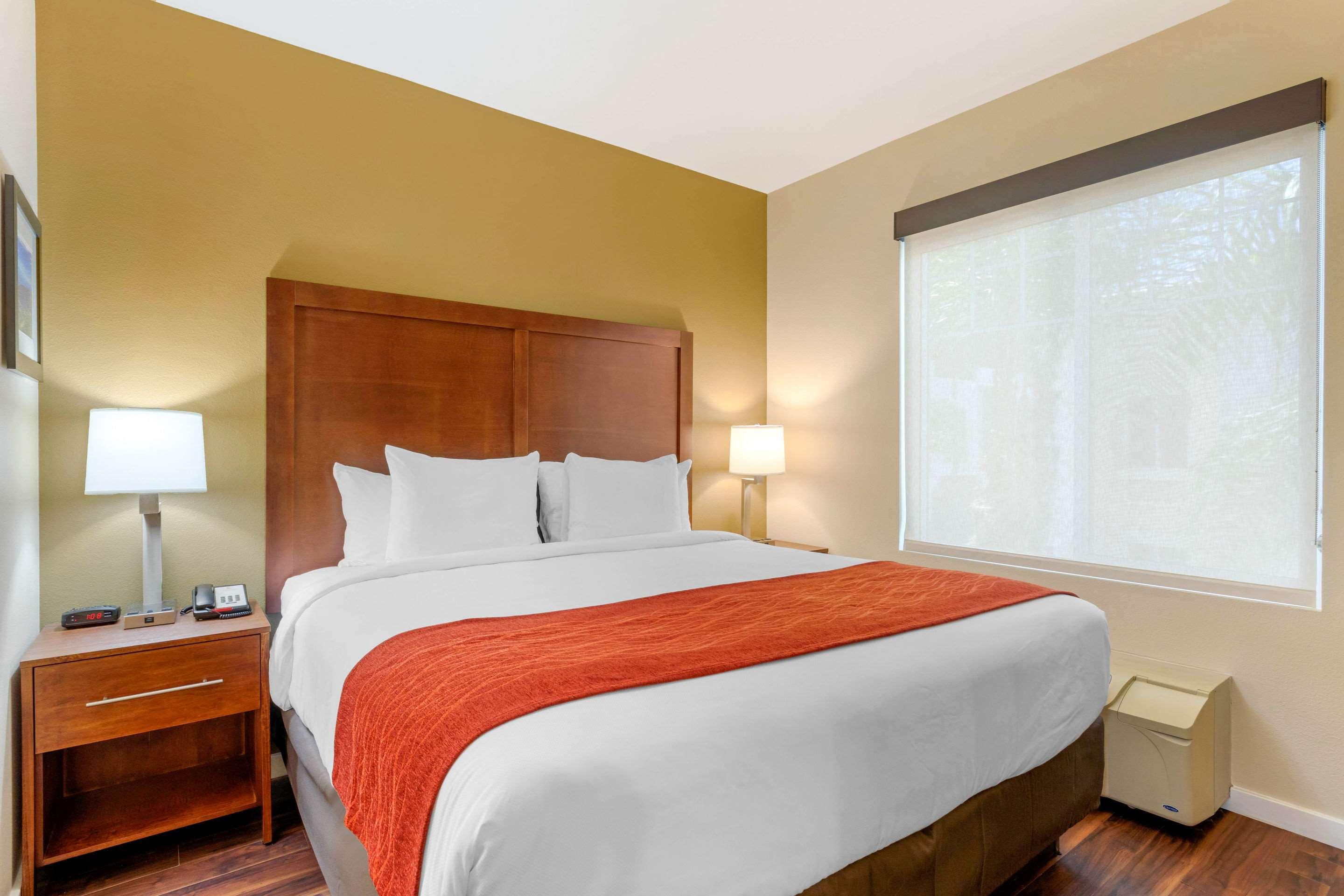 SUITE, KING BED, ACCESSIBLE
