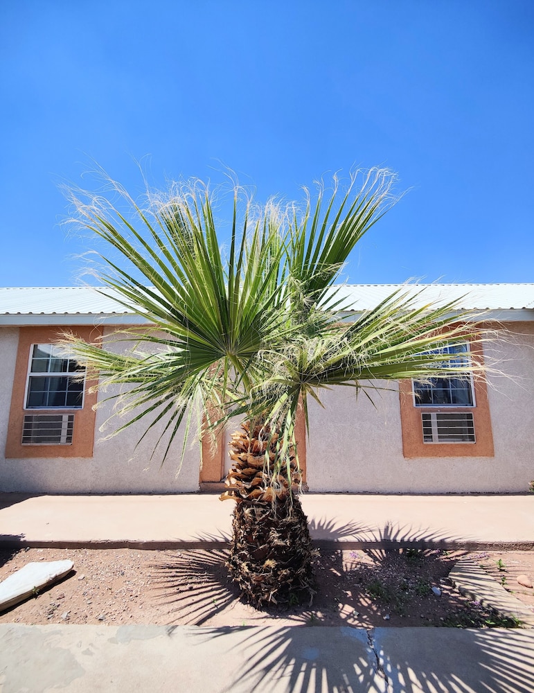 Desert Inn 44/49
