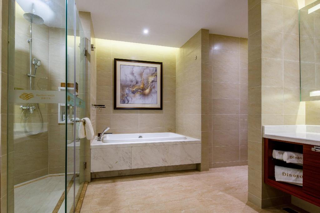 Rezen Hotel Bluewish Zhangjiakou Xiahuayuan 78/78