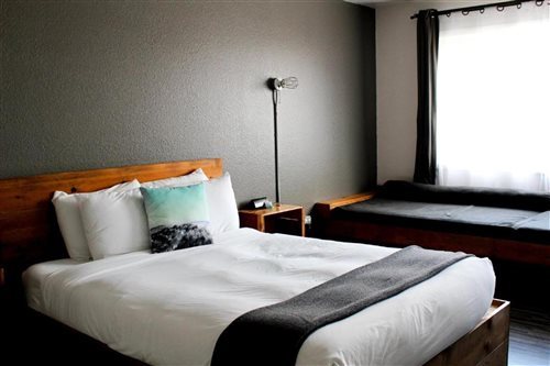 Room, Queen Bed