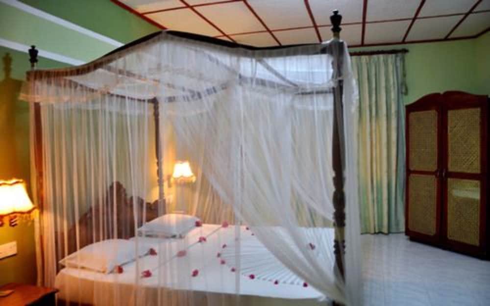 Hotel Bougainvilla 13/50