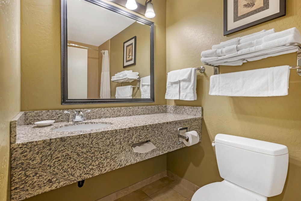 Standard, King Bed, Jetted Tub, Best Western Plus Canyon Pines 6/8