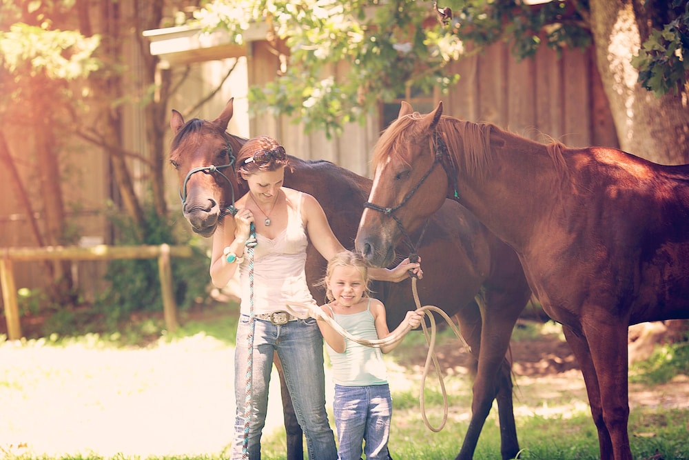 Seventy-four Ranch 18/50