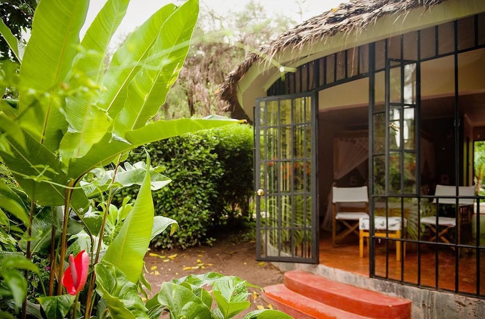 Ilboru Safari Lodge 7/50