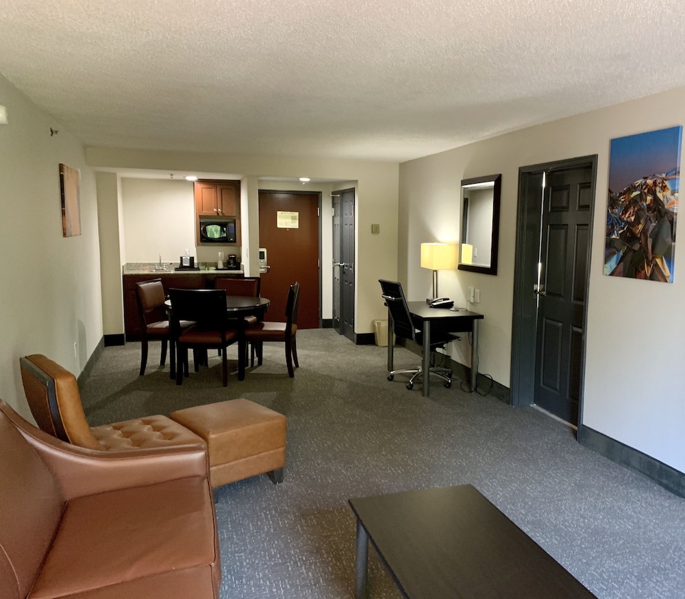 Wingate by Wyndham Atlanta Galleria Ballpark 34/50