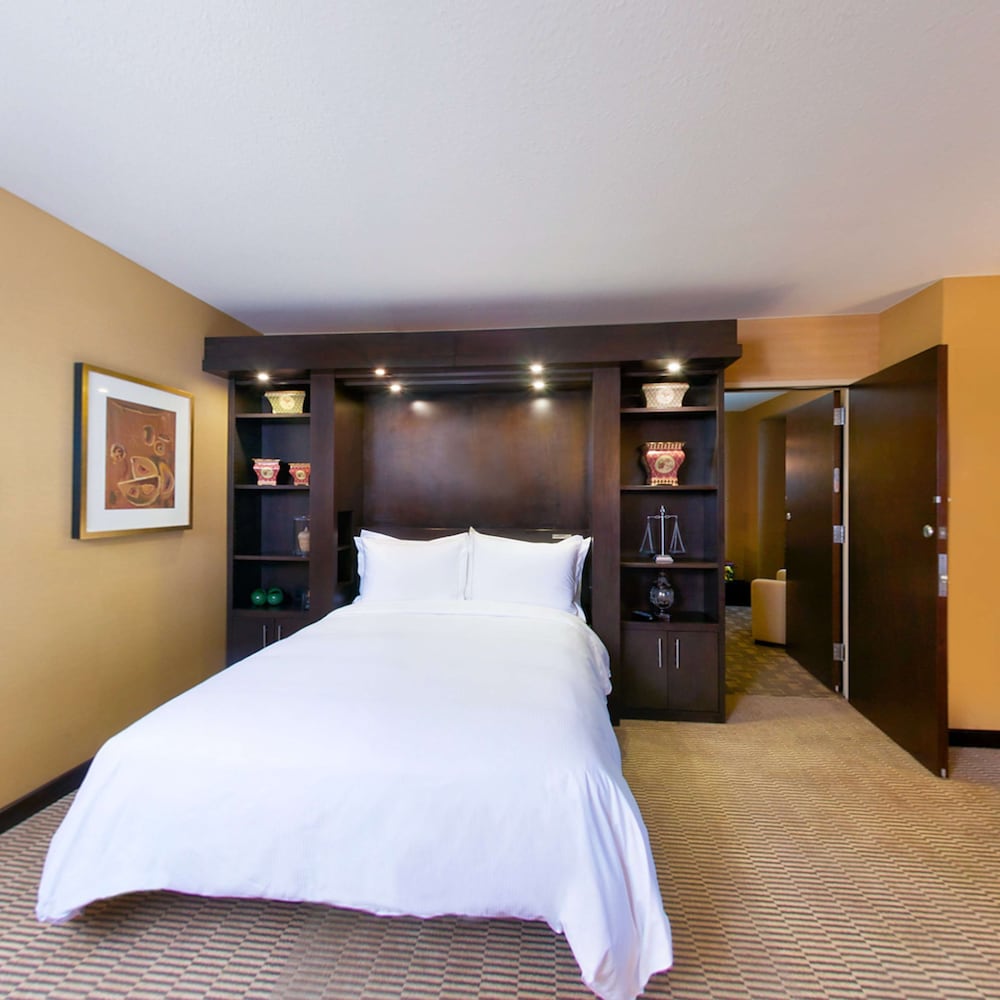 Hilton Americas Houston 19/85