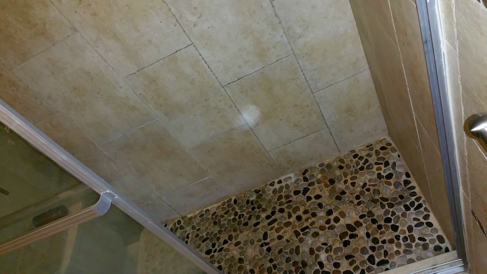 New Kingston C.A. Guest Apartments I 13/18