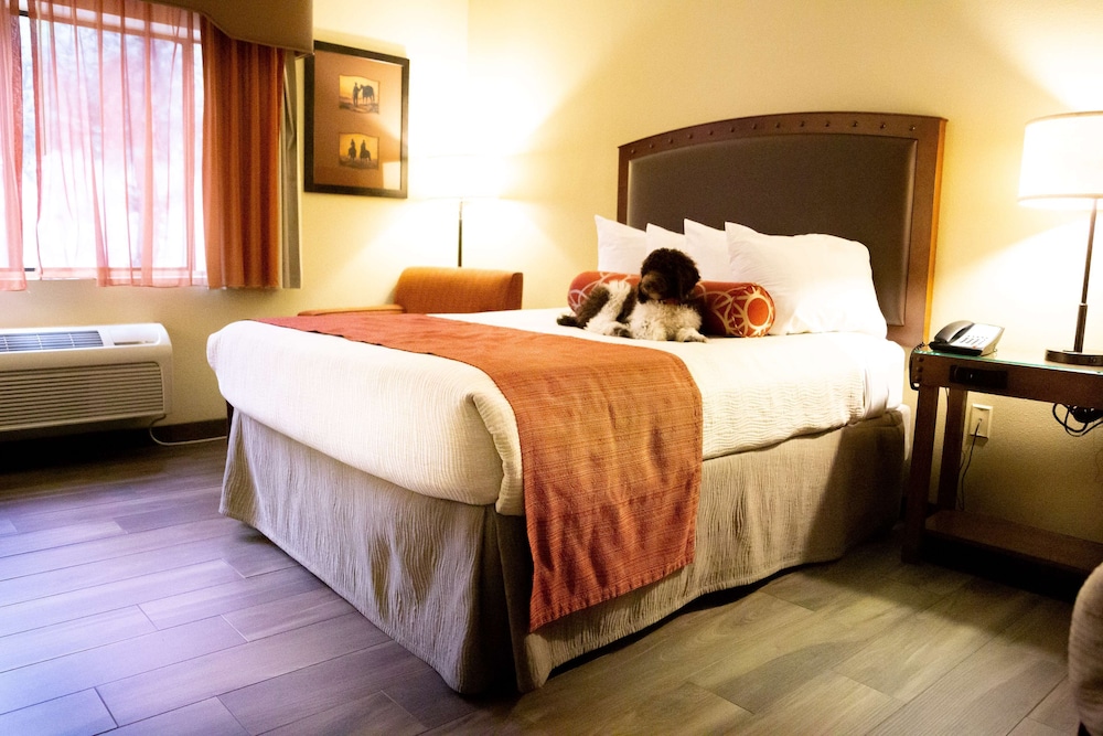 Best Western Plus Inn Of Williams 20/52