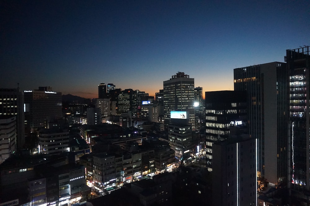 Sotetsu Hotels The Splaisir Seoul Myeongdong 76/81
