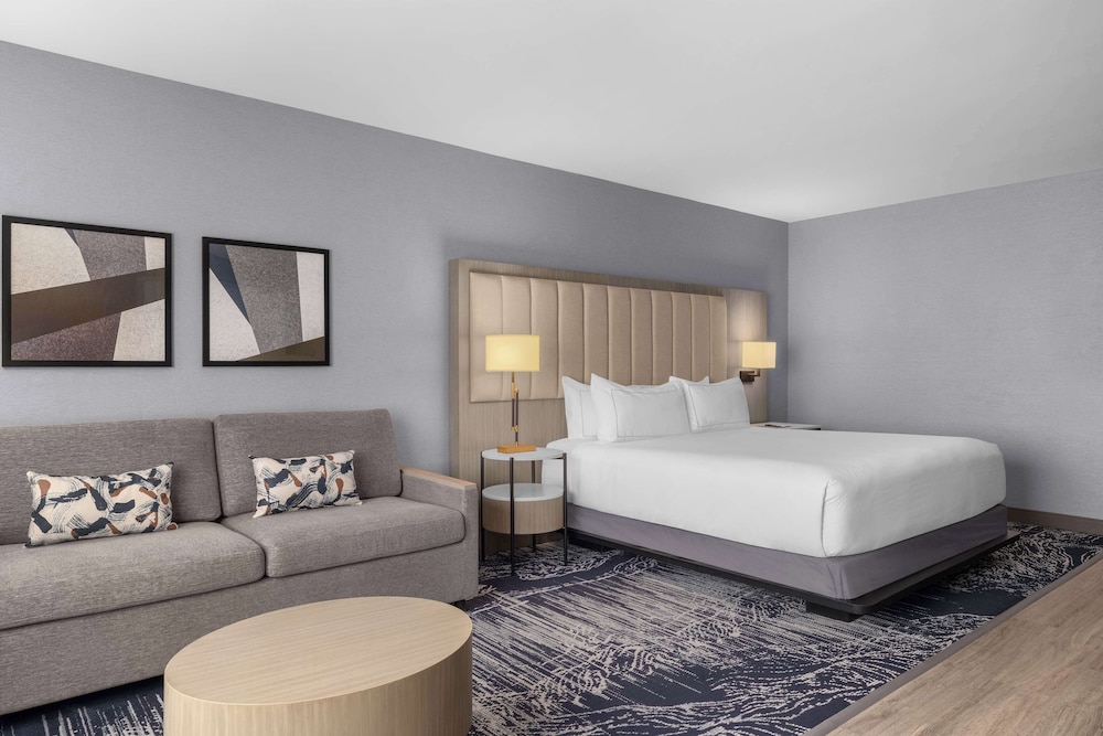 Room, King Bed, Sofa, Allergy Friendly