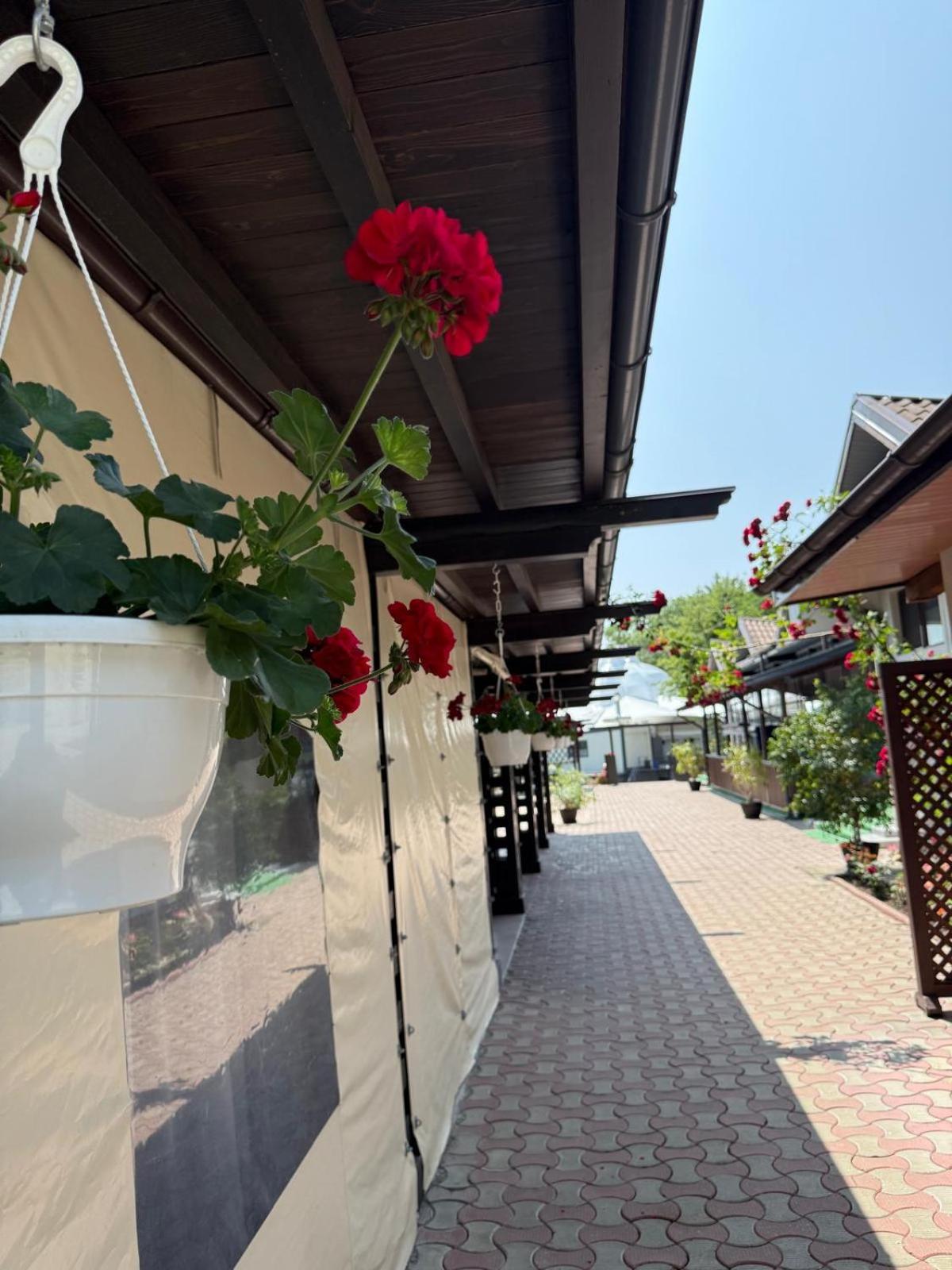 Ciric Hotel 8/46