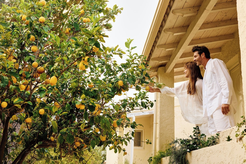 Agali Hotel Paxos 30/59