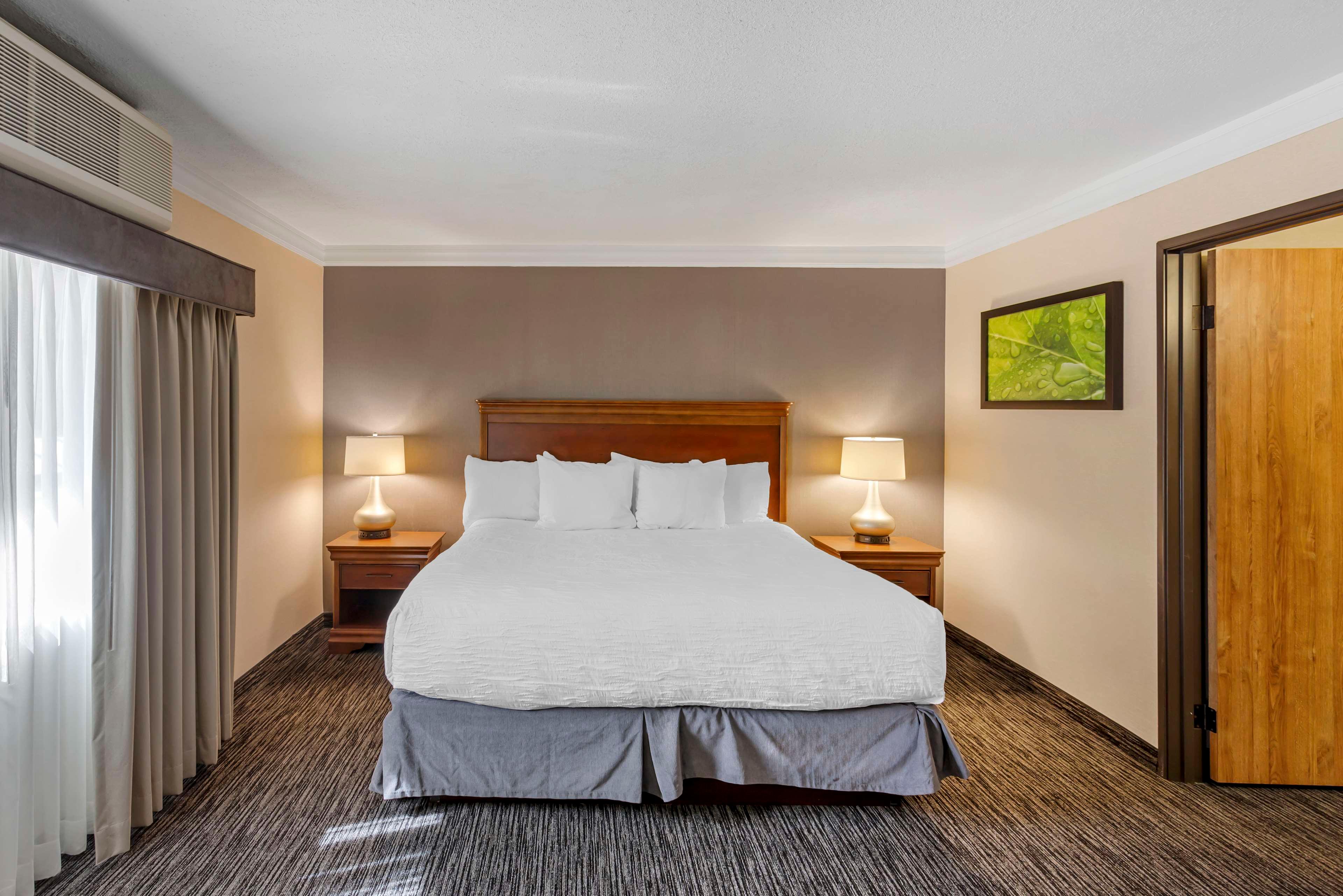 Suite, King Bed