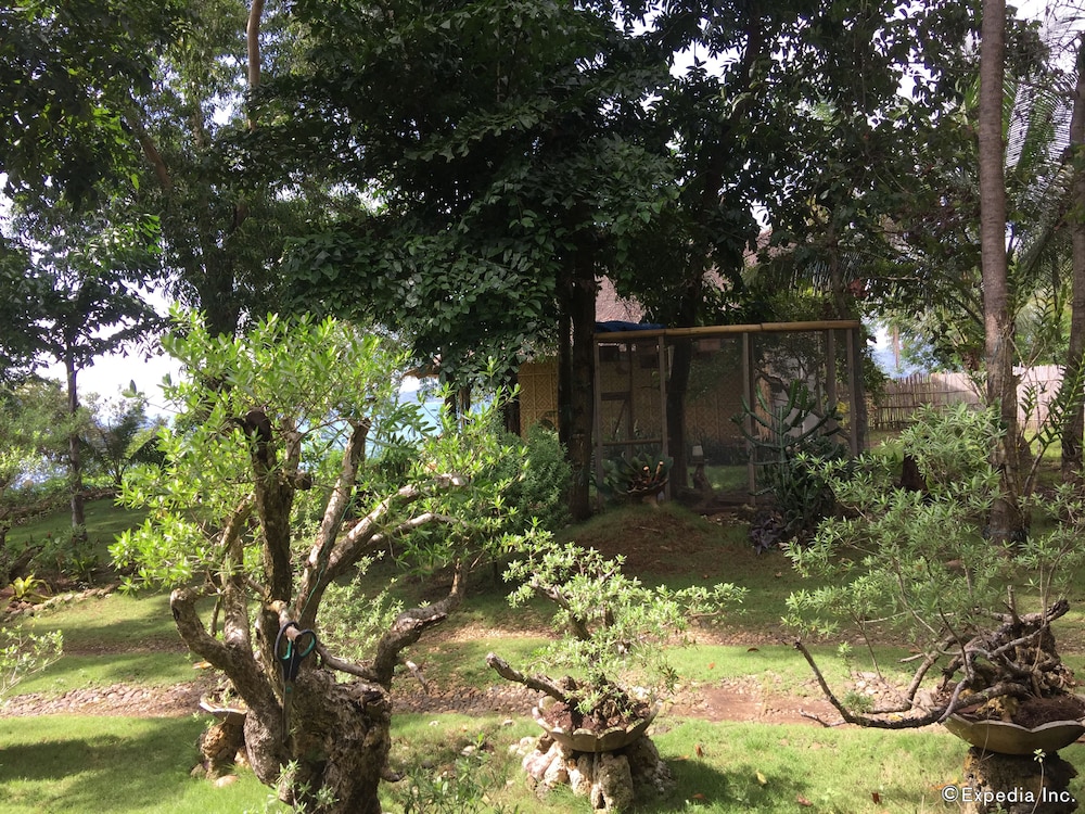 Bohol Lahoy Dive Resort 41/47