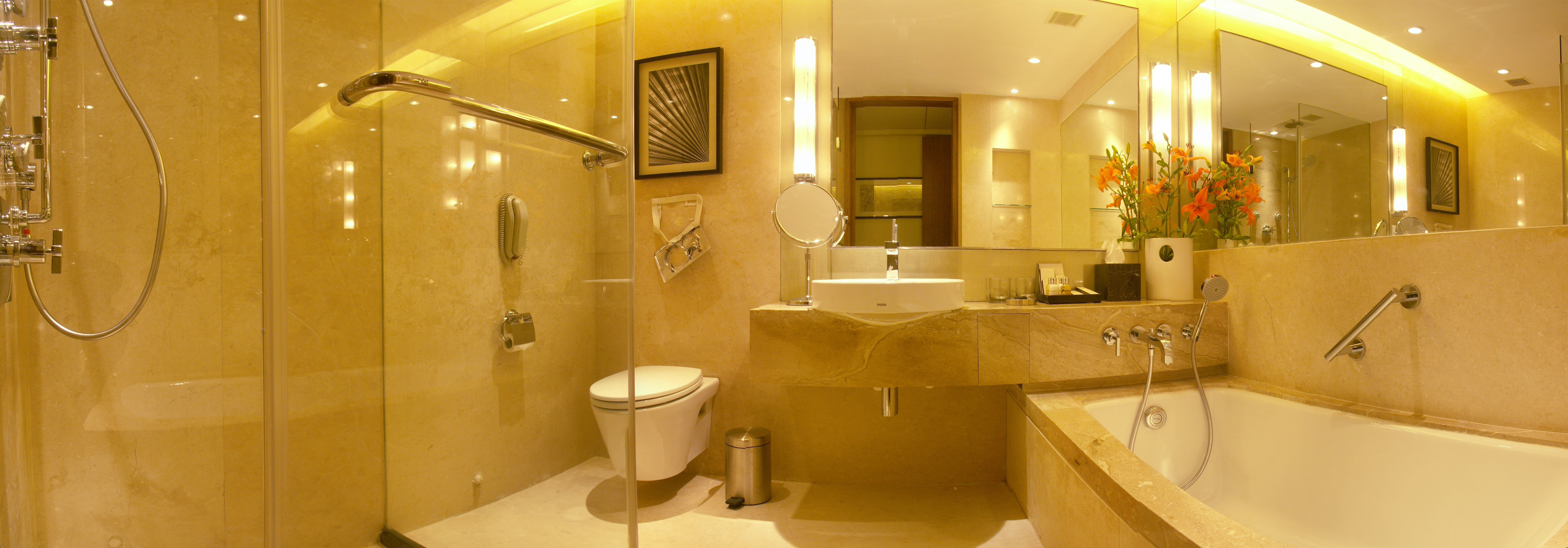 TAJ COROMANDEL 79/82