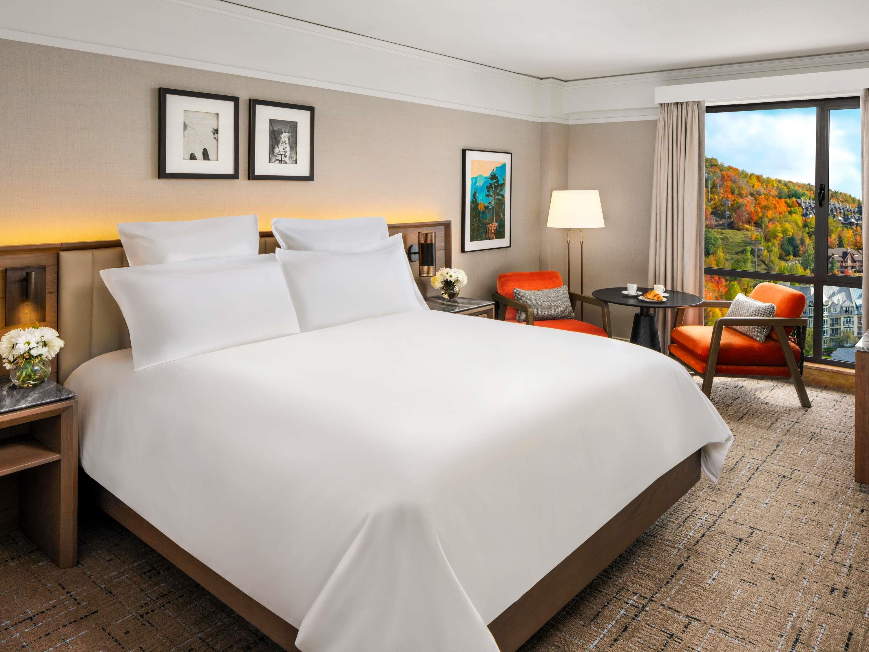 Room, King Bed, City View