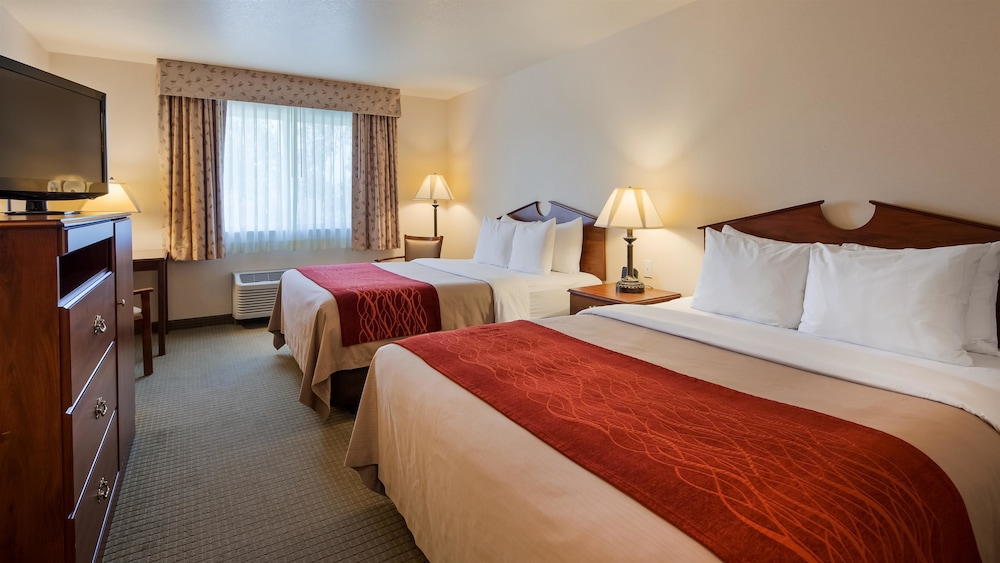 Standard, 2 Queen Beds, Pet Friendly