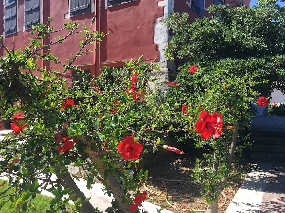 Oasis Guesthouse 5/35