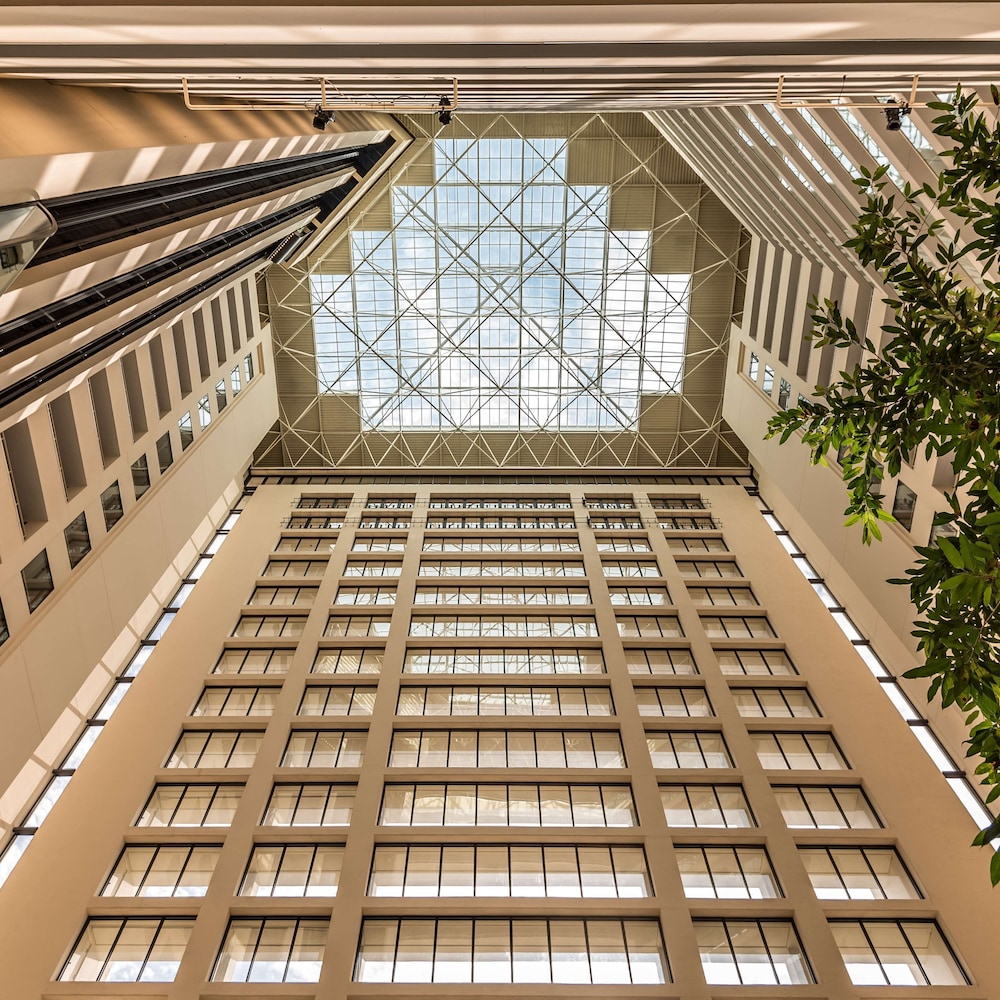 丝柏凯悦丽晶大酒店(Hyatt Regency Grand Cypress Hotel) 图片4