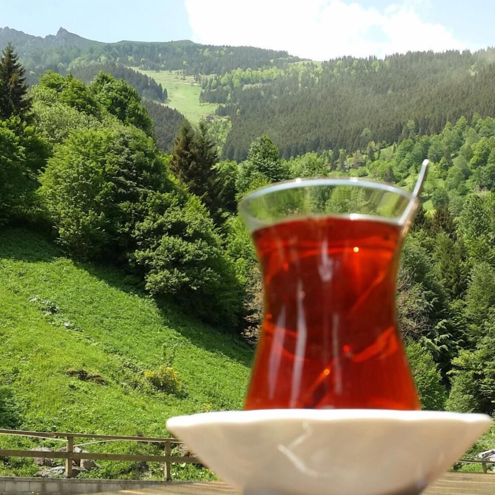 Meric Otel Uzungol 22/52