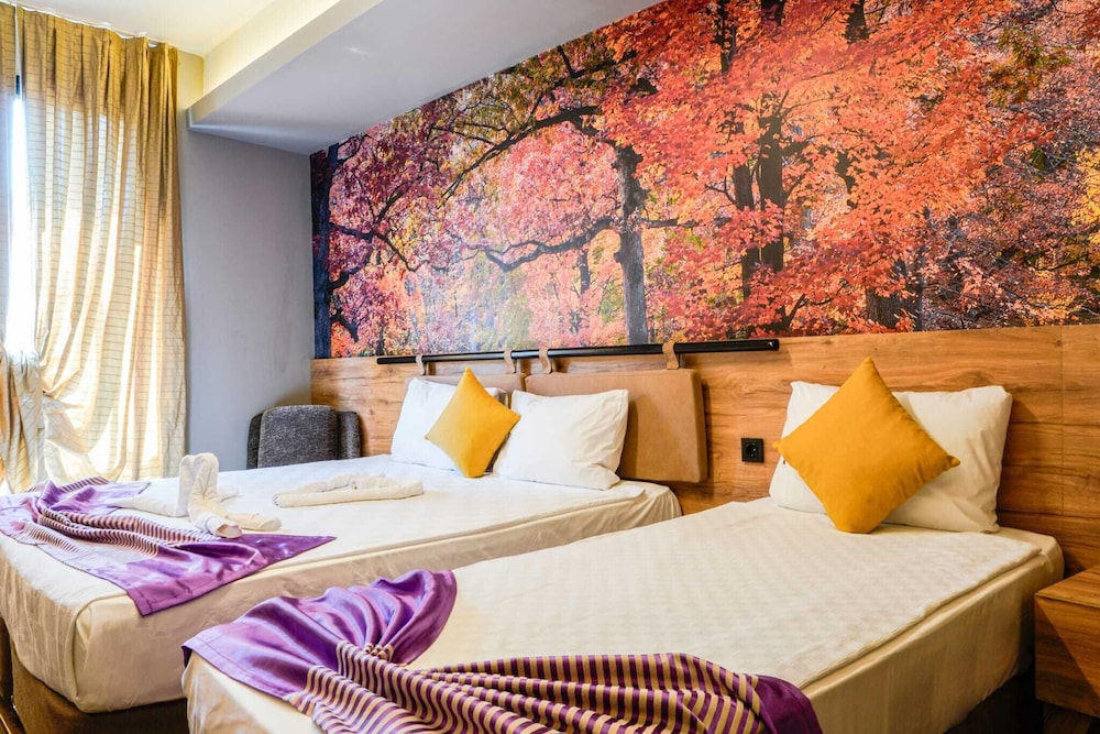 Lupo Libero Hotel 14/50
