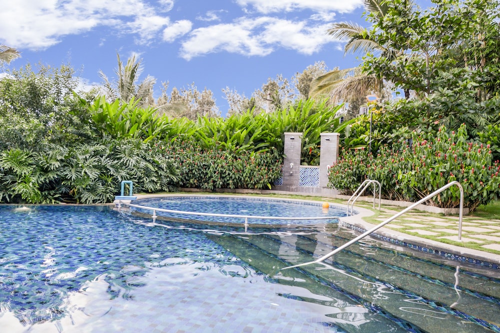 Purple Palms Resort & Spa 32/58