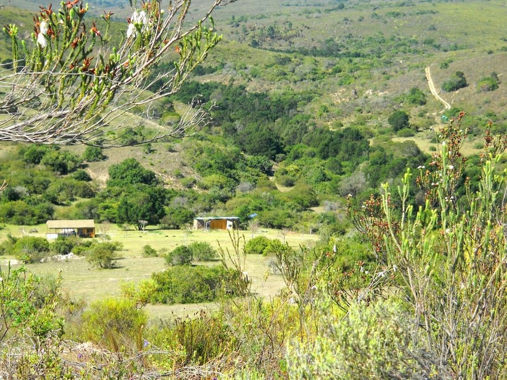 Pabala Private Nature Reserve 27/41