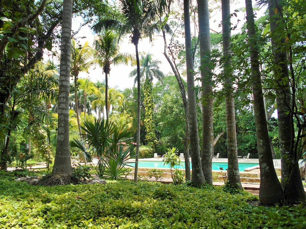surroundings