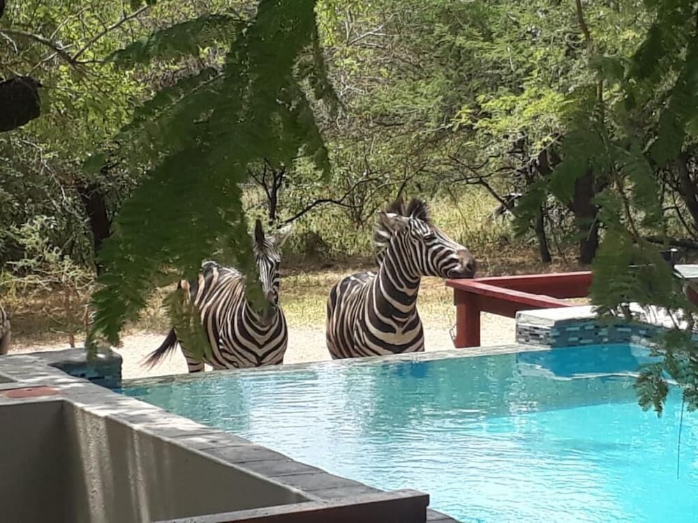Turaco Lodge 38/47