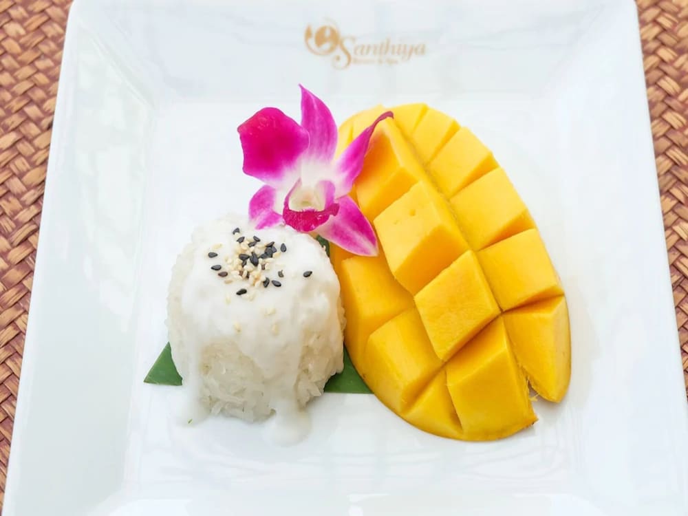 帕岸岛珊迪雅度假村(Santhiya Koh Phangan Resort and Spa) 图片3
