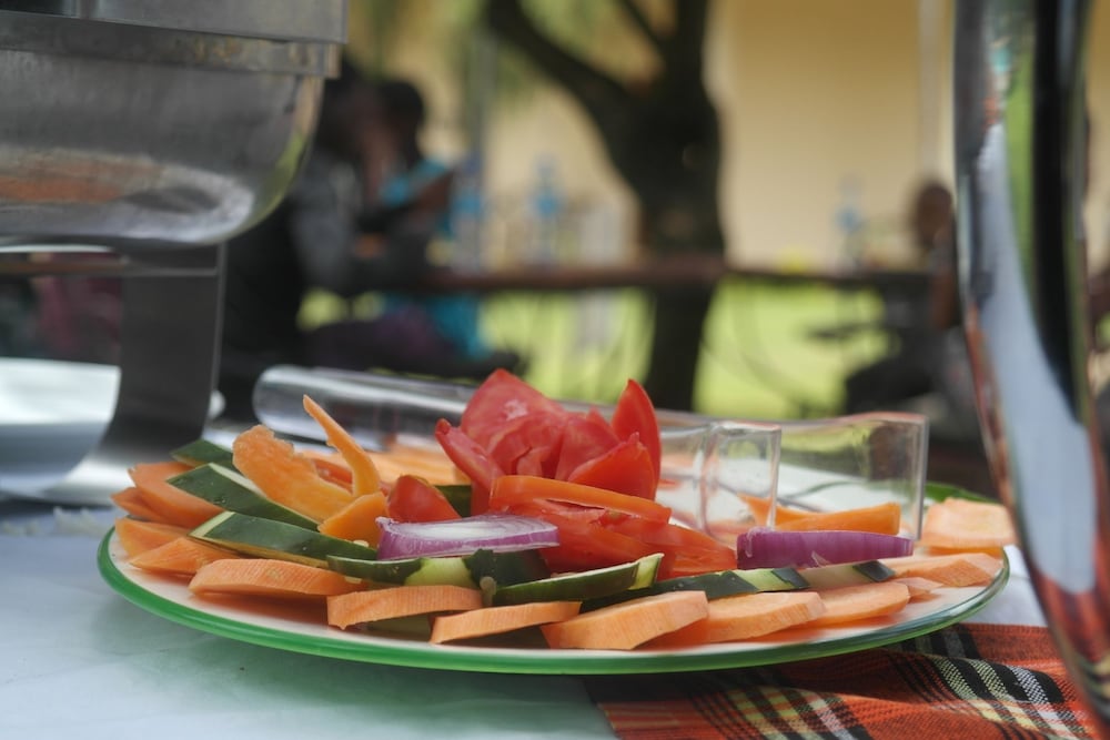 Kilemakyaro Mountain Lodge 15/50