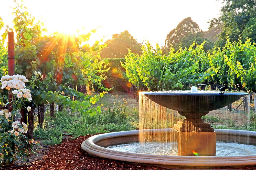 Napa Valley Lodge 1/58