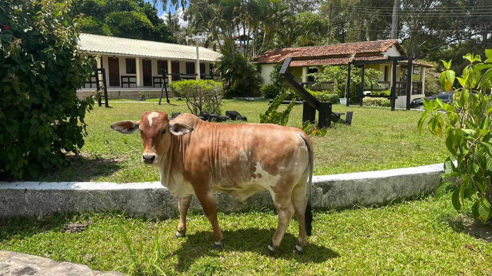 Hotel Fazenda Ceu Aberto 39/50