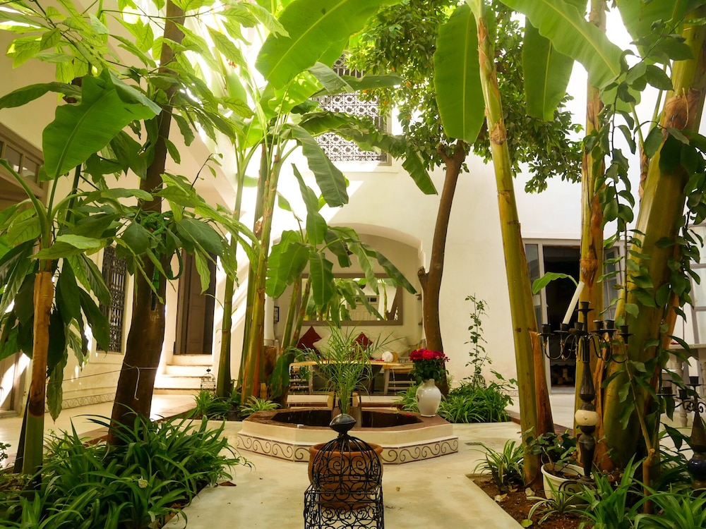Riad Dar Aman 30/35