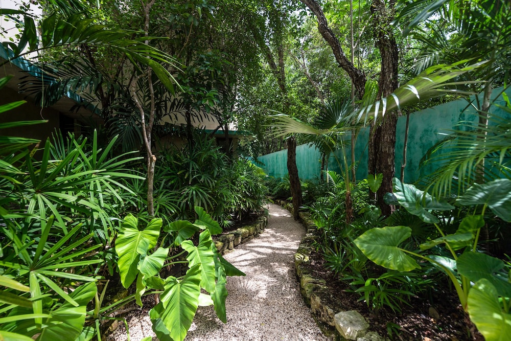 Hotel Tiki Tiki Tulum 64/71
