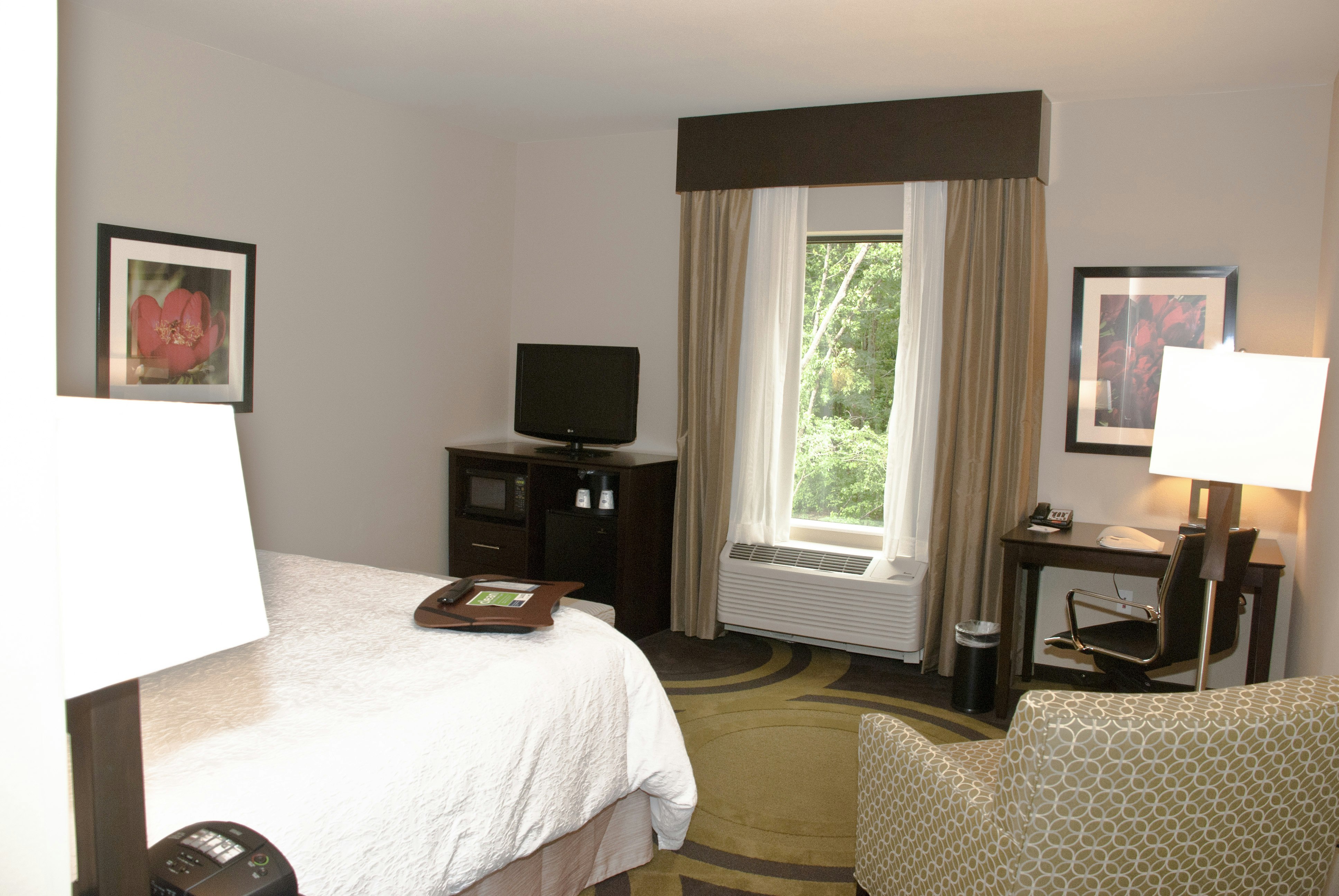 Room, King Bed, Bathtub
