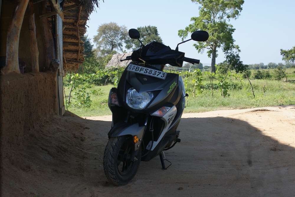 Jungle House Yala 43/50