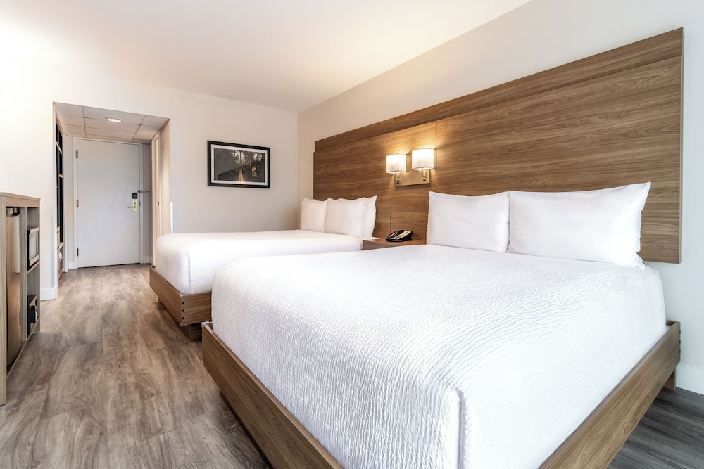 Room, 2 Queen Beds, Balcony