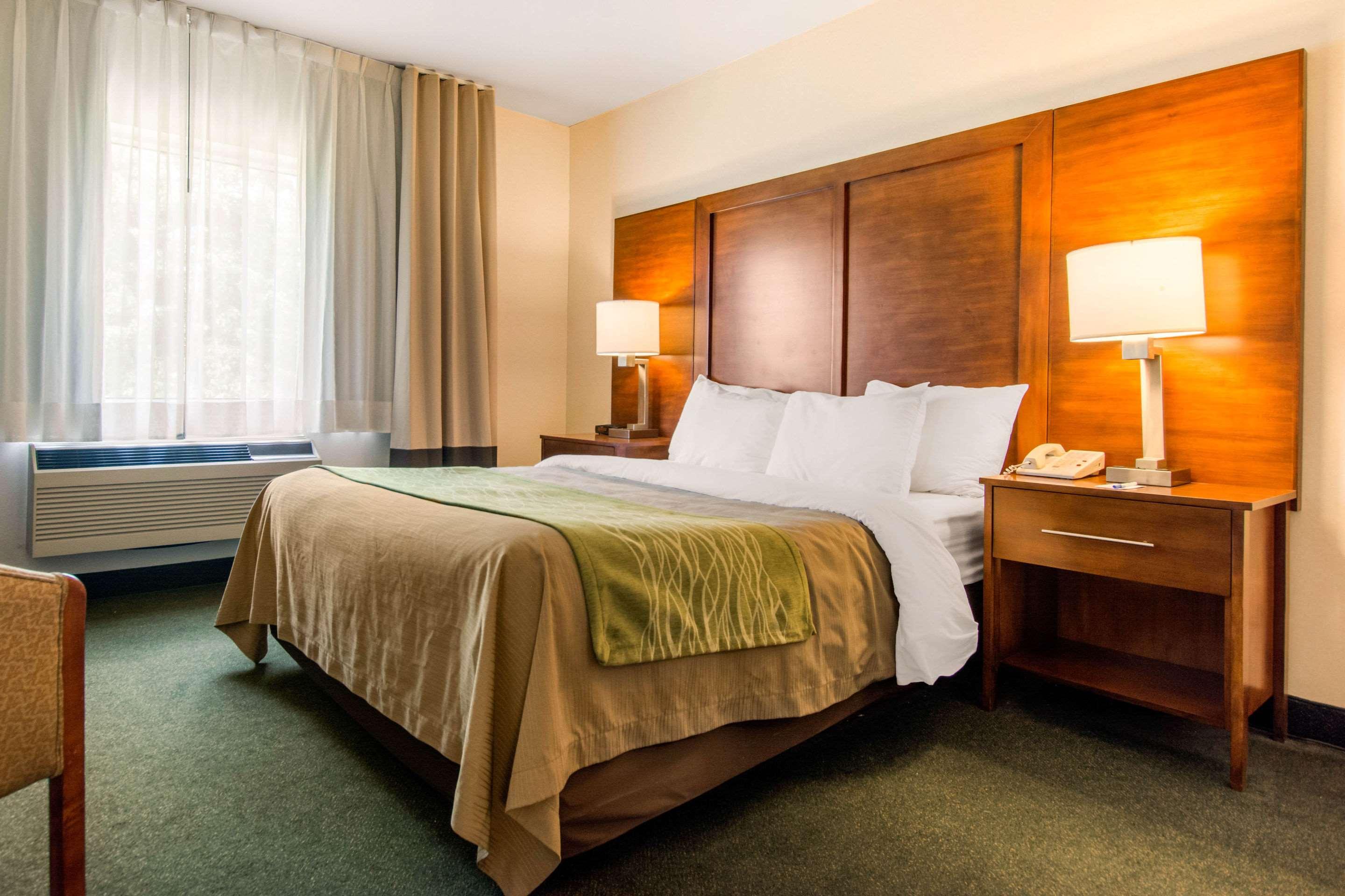 Suite, Queen Bed