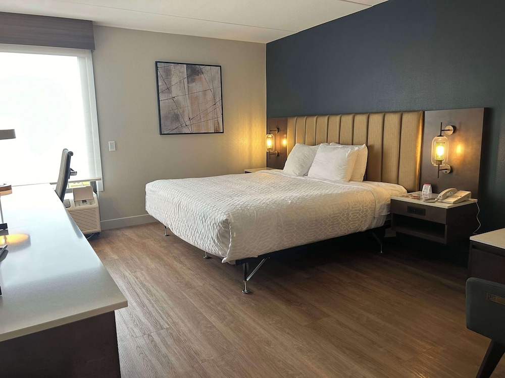 STANDARD, QUEEN BED, ACCESSIBLE
