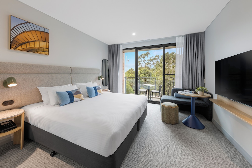 Executive, Studio, Apartment, King Bed