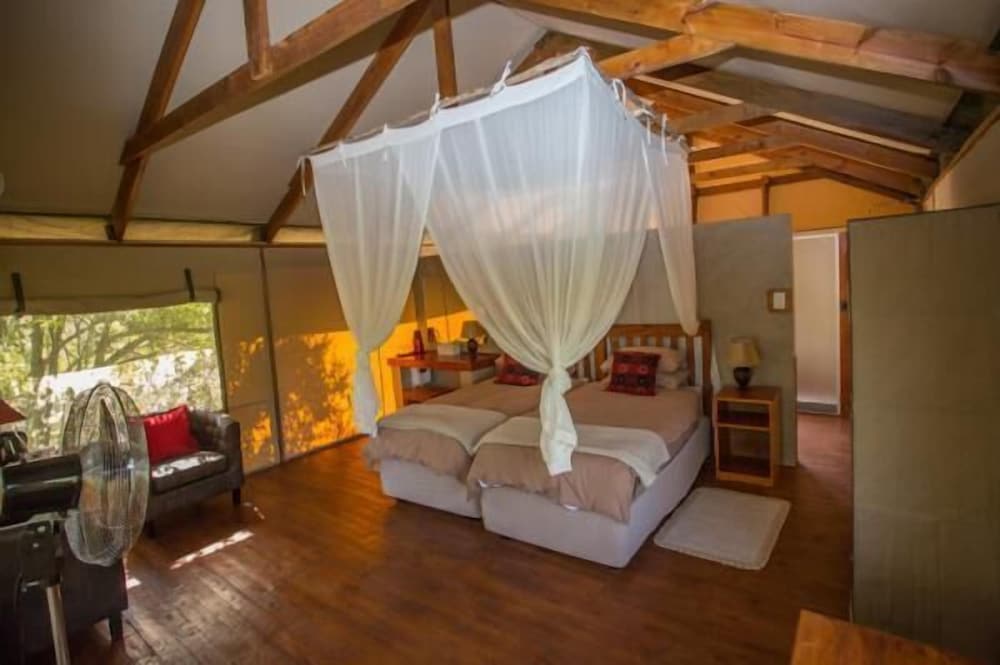Lion Tree Top Lodge 7/36