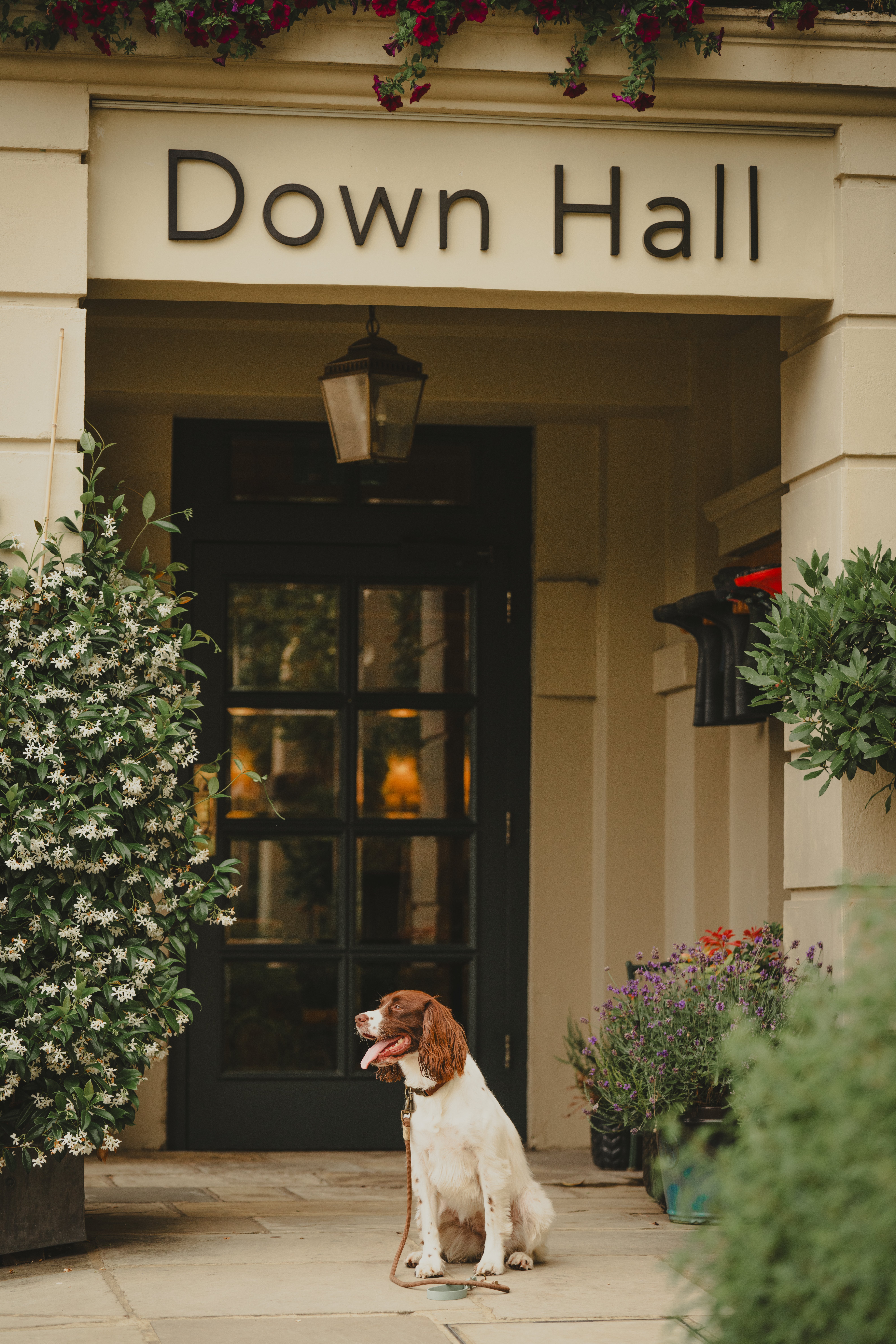 Down Hall Hotel Spa & Estate 2/79