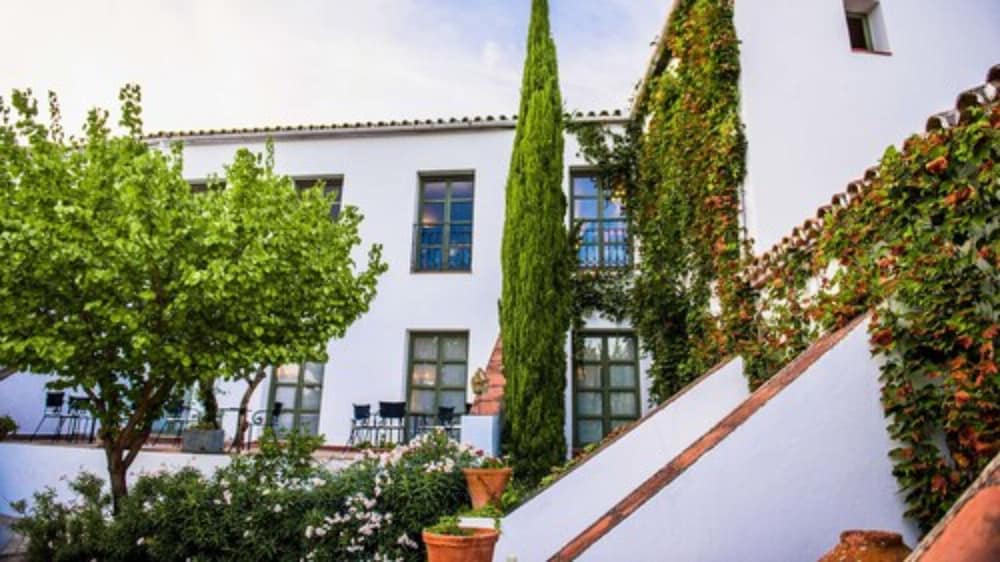 Molino Del Arco 39/50