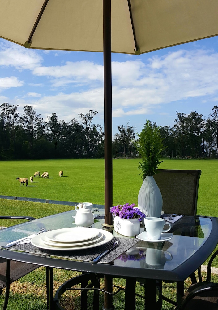 La Palma Polo Hotel 26/46