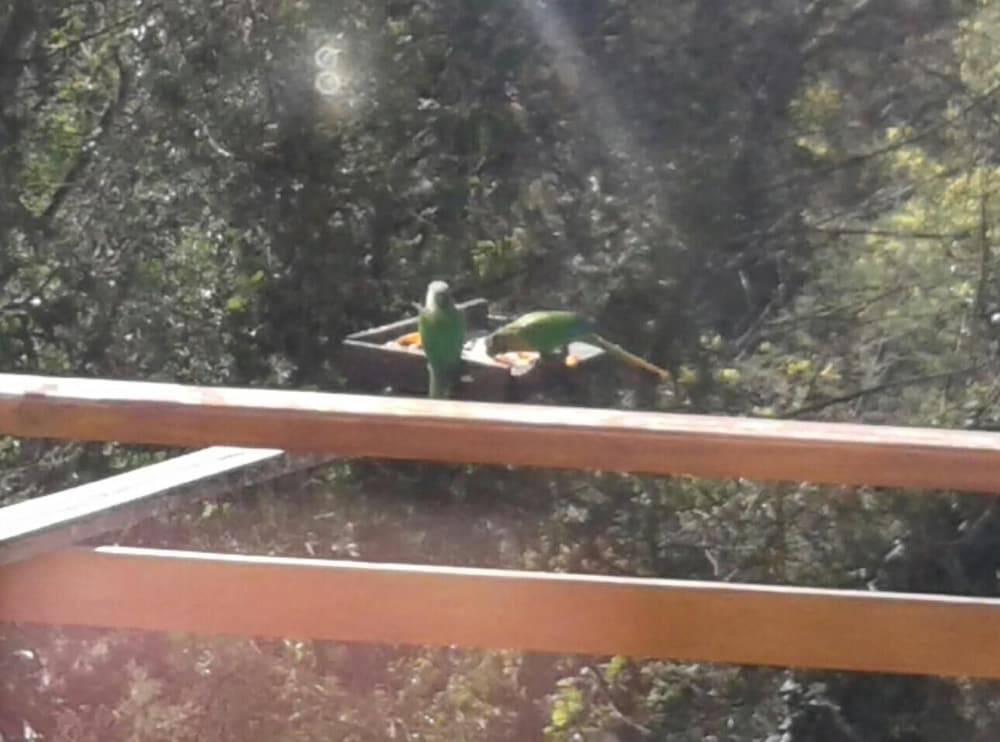Pousada La Sierra 35/40